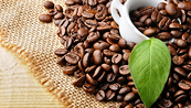 Cà phê Robusta từ Brazil đang đe dọa vị trí "ngôi vương" của Việt Nam