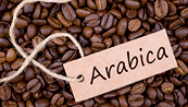 Giá Arabica có thể chịu sức ép khi nguồn cung xuất hiện thêm tín hiệu tích cực
