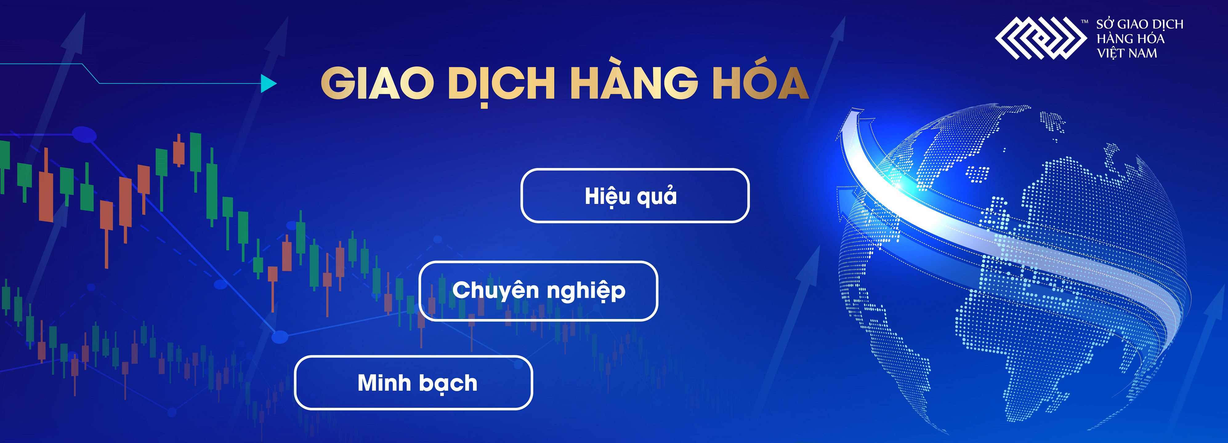 Sở giao dịch Hàng hóa Việt Nam